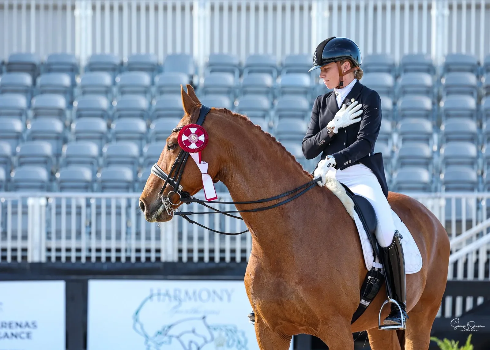 The Business of Horses with Emily Donaldson