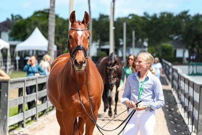 The Business of Horses with Emily Donaldson