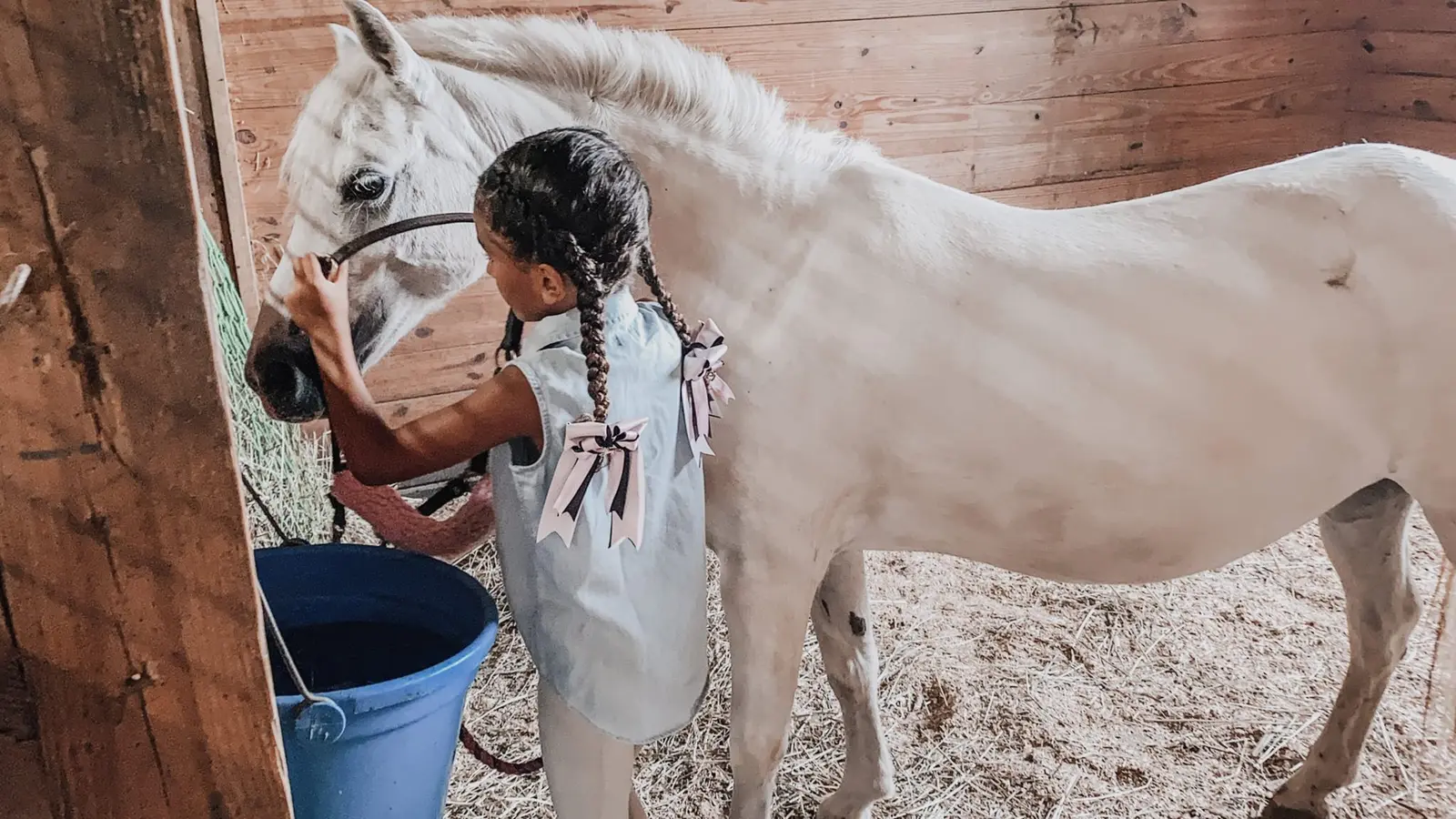 What Does a Daily Horse Care Routine Look Like?