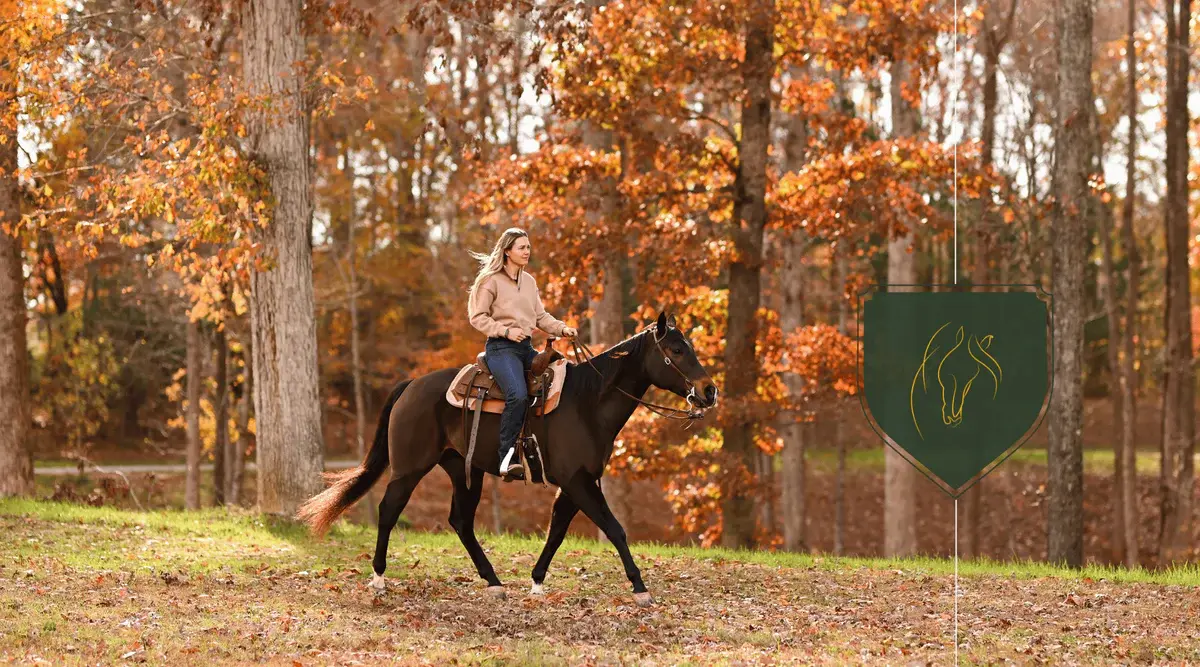 How to Back Up Equine Photos While Traveling Without Losing the Day
