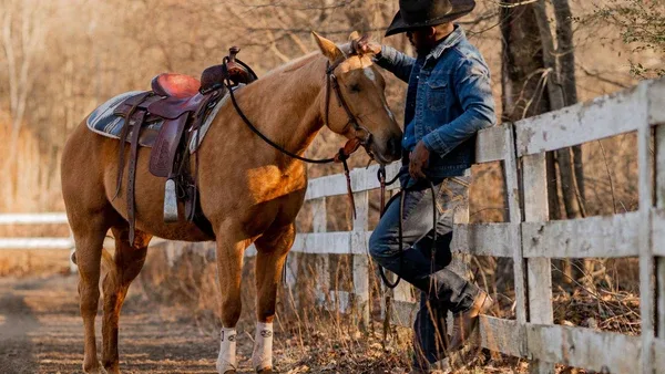 How to Back Up Equine Photos While Traveling Without Losing the Day