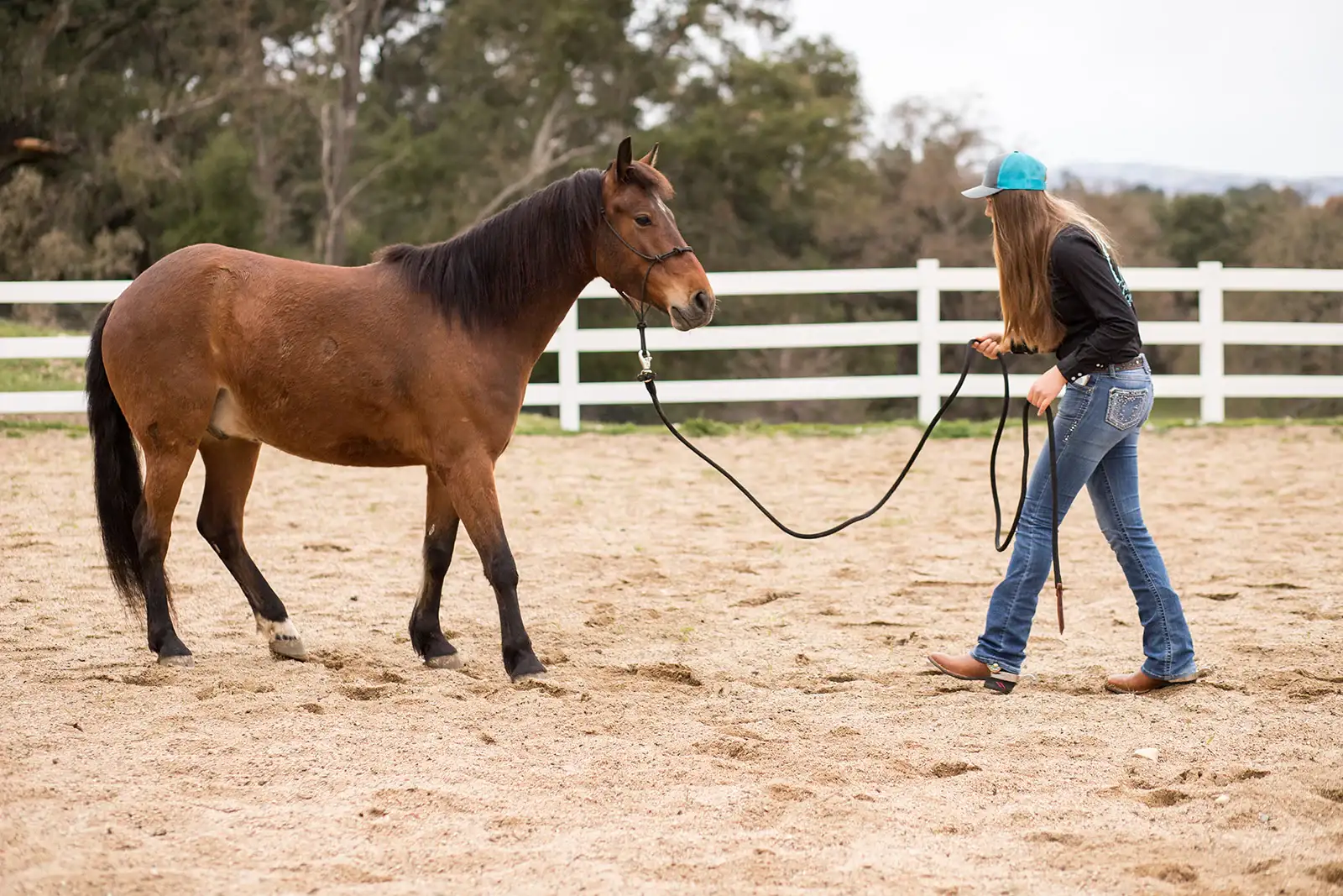 How to Back Up Equine Photos While Traveling Without Losing the Day