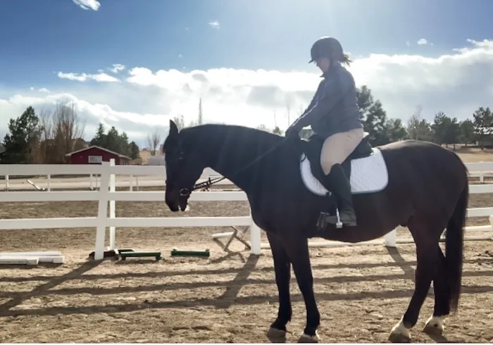 How to Film a Horse Show Run So the Rider Can Actually Review It Later