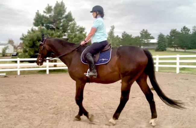 How to Film a Horse Show Run So the Rider Can Actually Review It Later