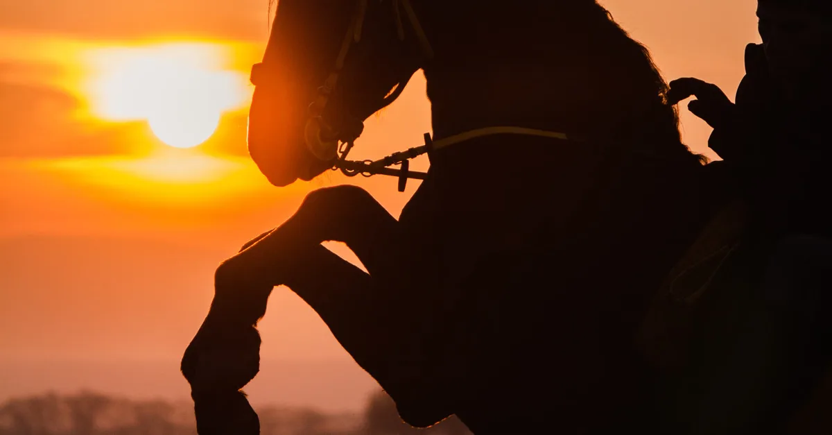 How to Photograph Horse Silhouettes With Cleaner Shapes at Sunset