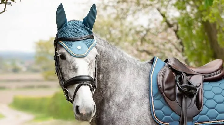 How to Reduce Noise in Equine Photos Without Smearing Detail