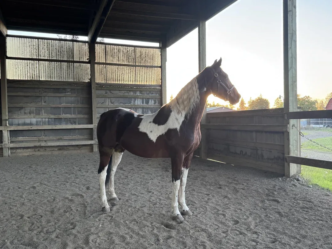 10 Boarding Barn Etiquette Mistakes You Might Not Realize You’re Making