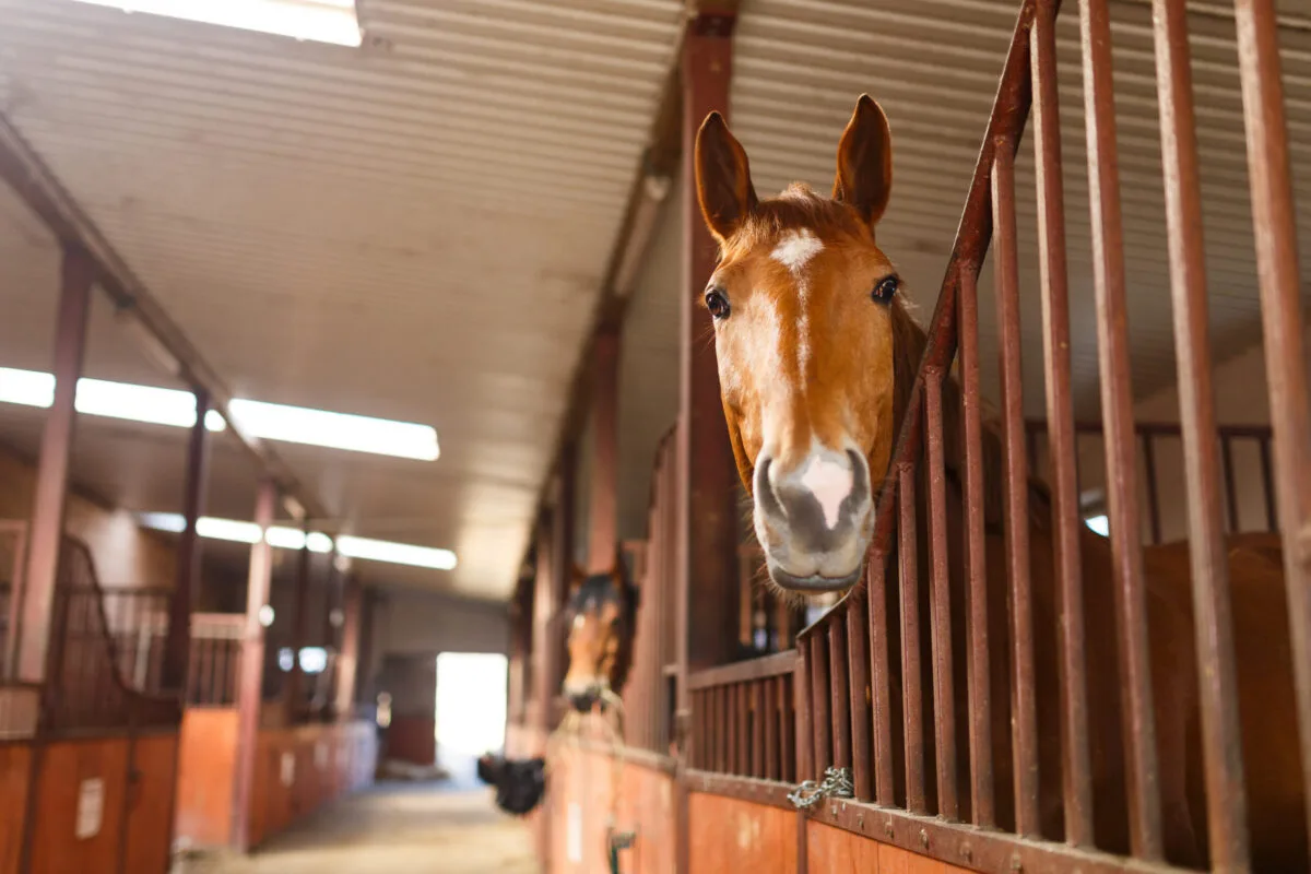 10 Boarding Barn Etiquette Mistakes You Might Not Realize You’re Making