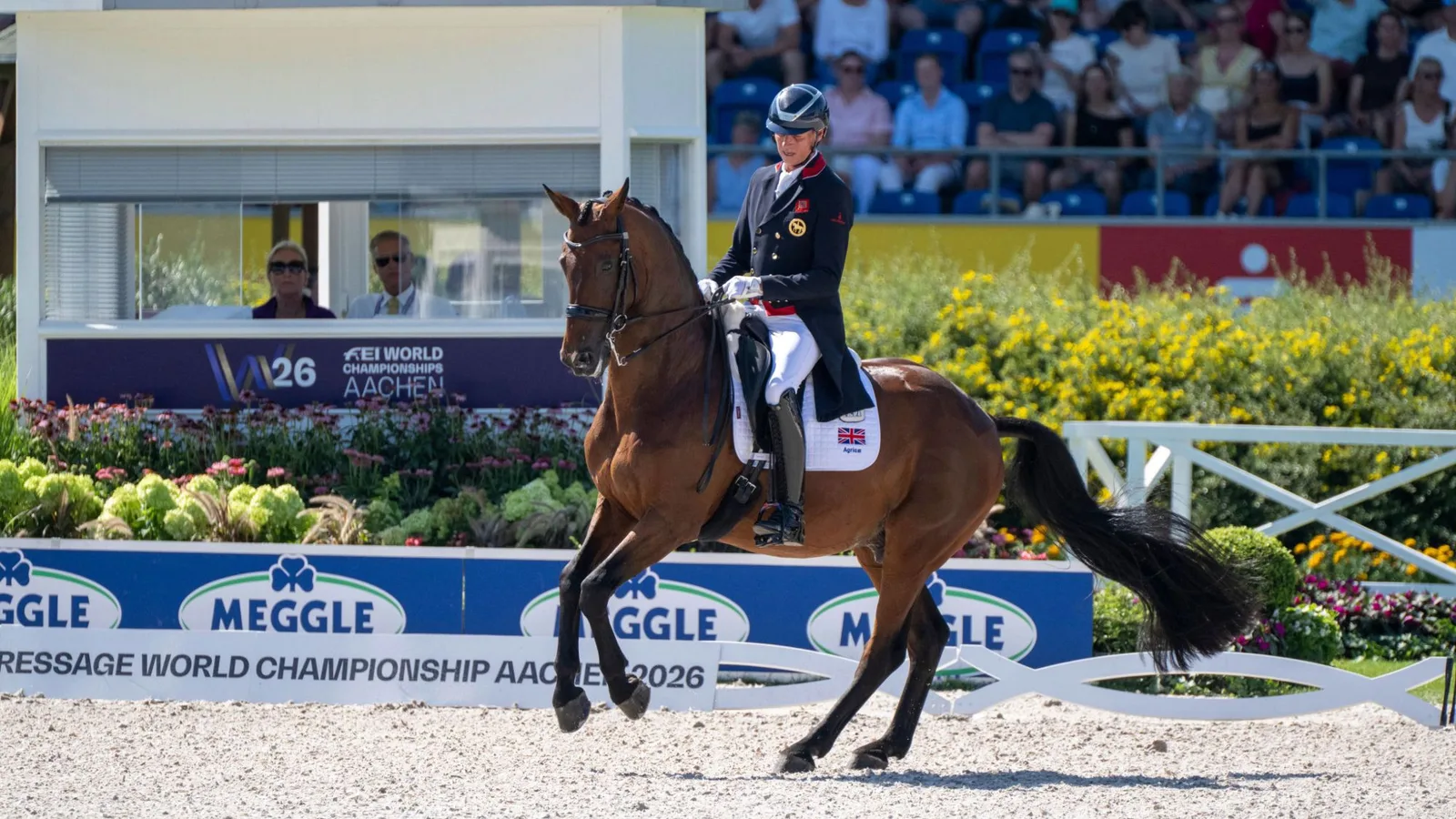 A Full-Circle Trip to Aachen for More Consistent Horse Photography