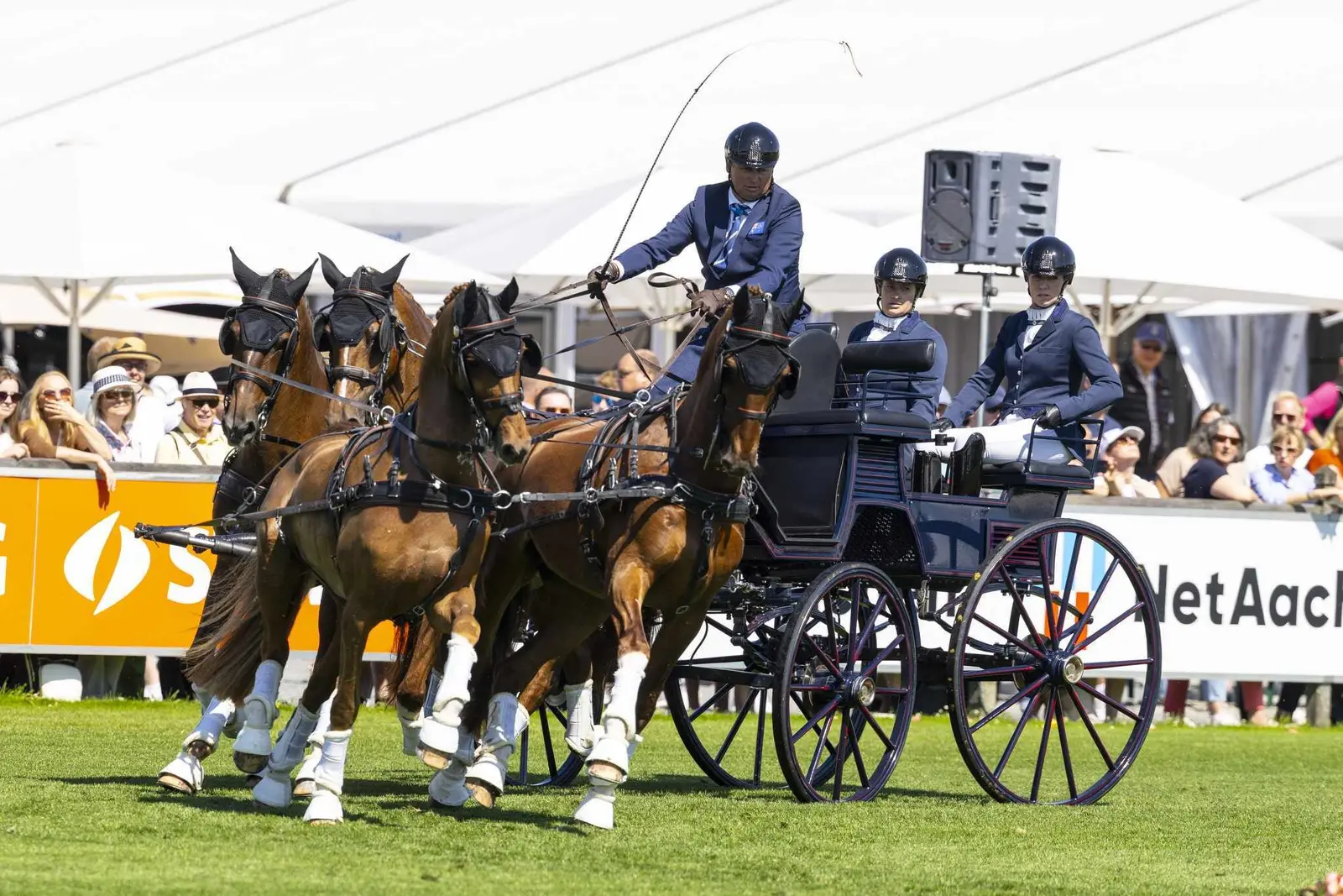 A Full-Circle Trip to Aachen for More Consistent Horse Photography