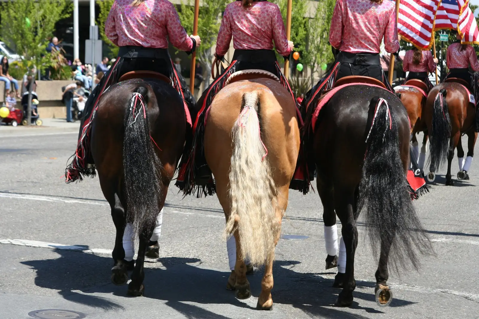 Advice for Pain-Free Independence Day Parade Prep