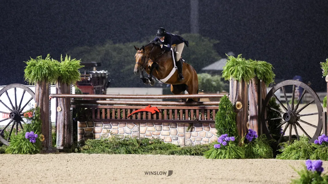 After the Win — Cellestino Turns Silver into Gold at Hunter Derby Finals