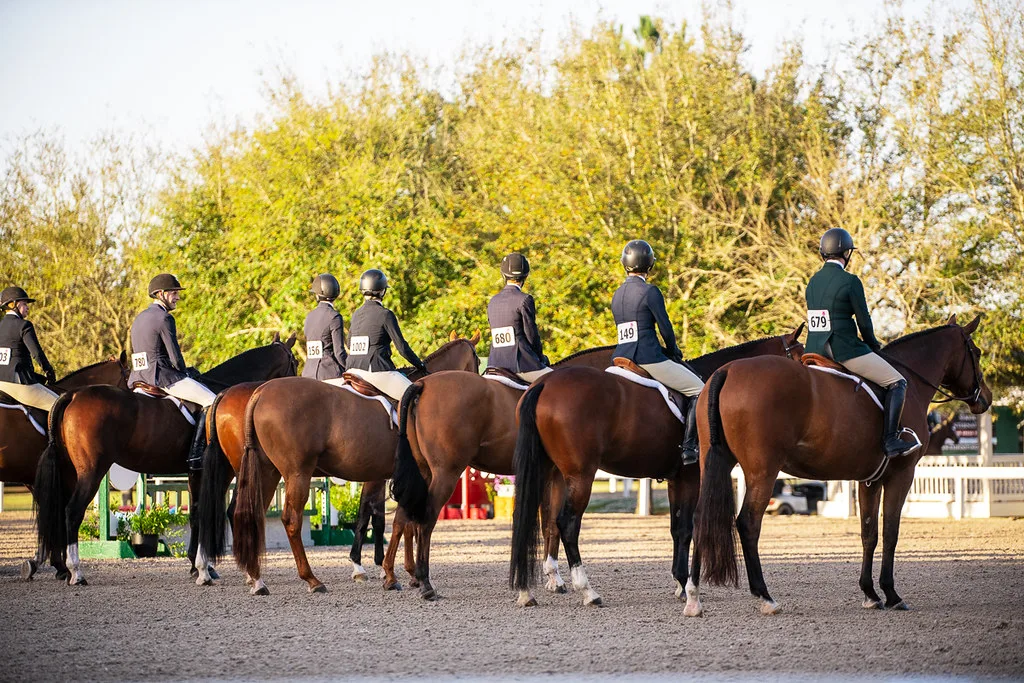 Equestrian Sport Is Under Scrutiny. Can Science Save It?
