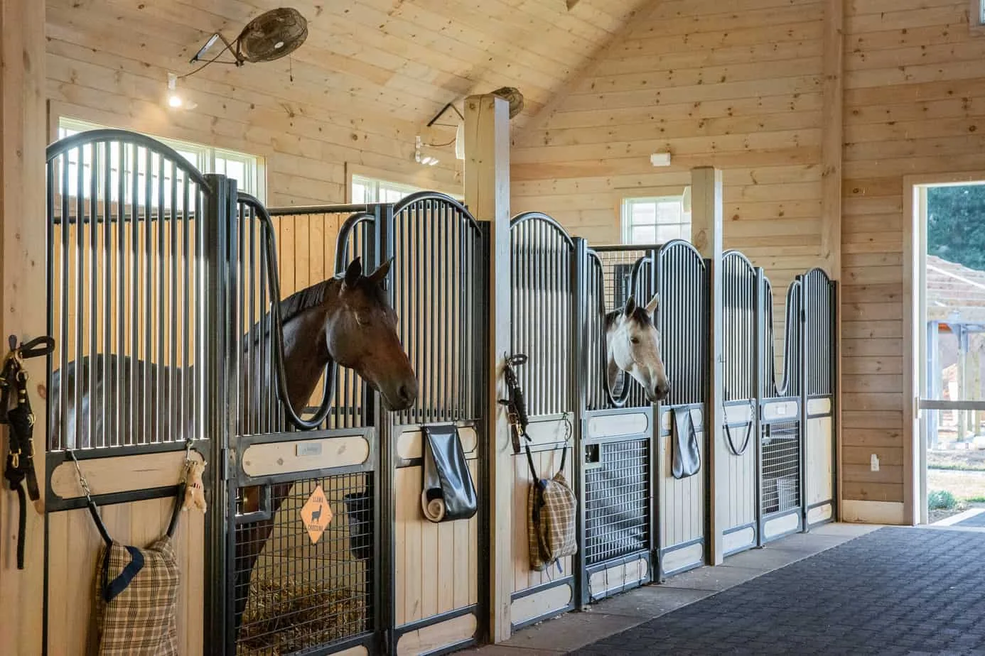 How Clean Does a Horse Stall Really Need to Be?