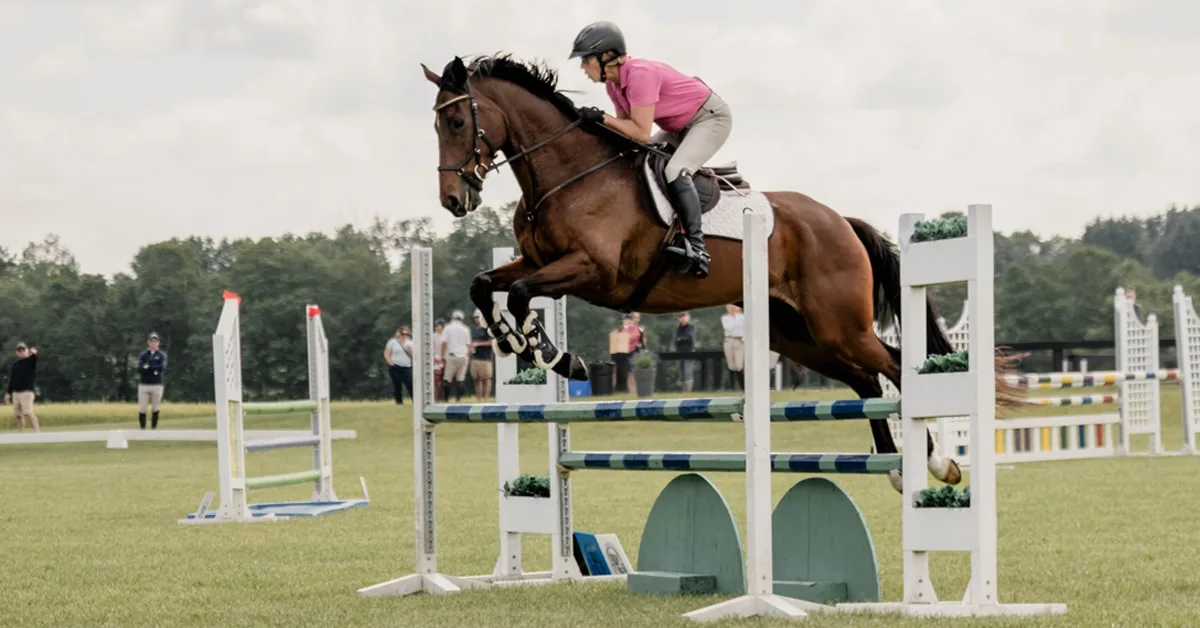 How Gymnastics Helped Build Grand Prix Thoroughbred Jumper Even Better