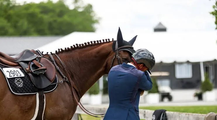 How Gymnastics Helped Build Grand Prix Thoroughbred Jumper Even Better