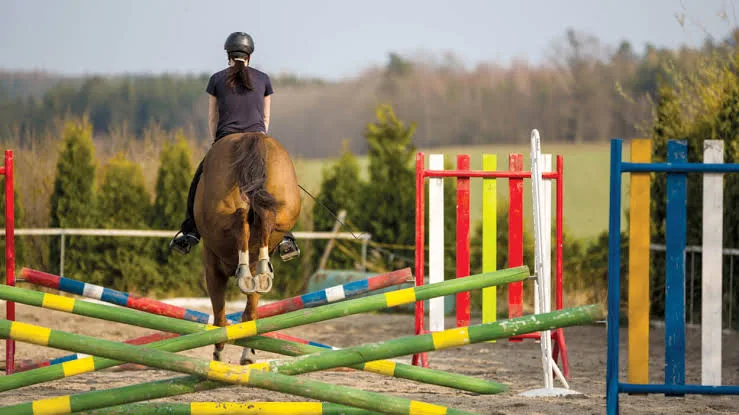 How Gymnastics Helped Build Grand Prix Thoroughbred Jumper Even Better