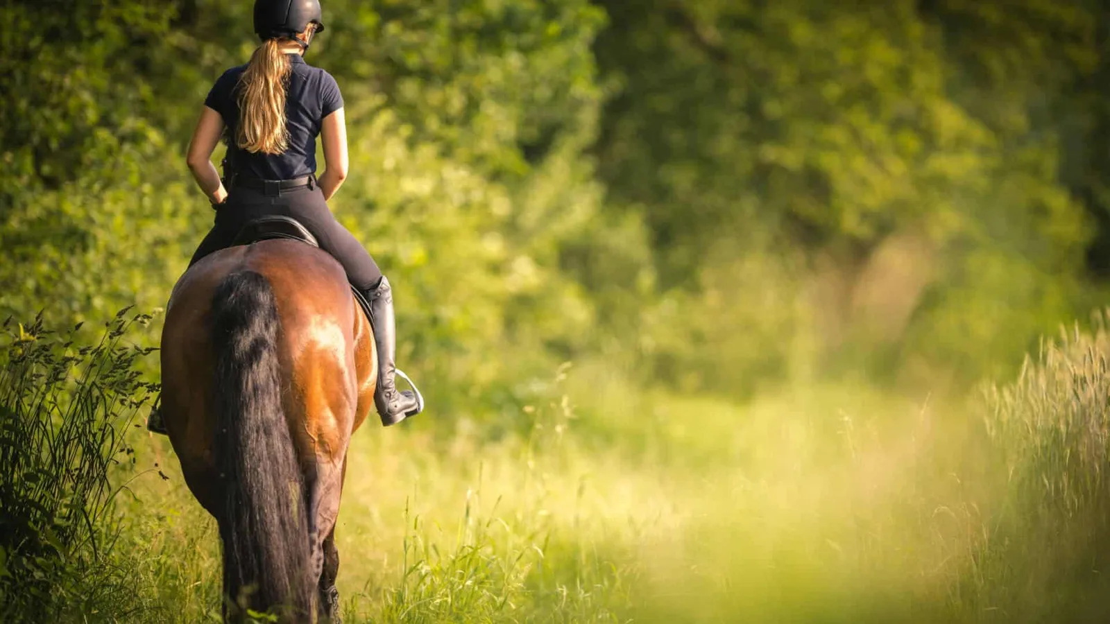 How Long Should You Ride Your Horse?
