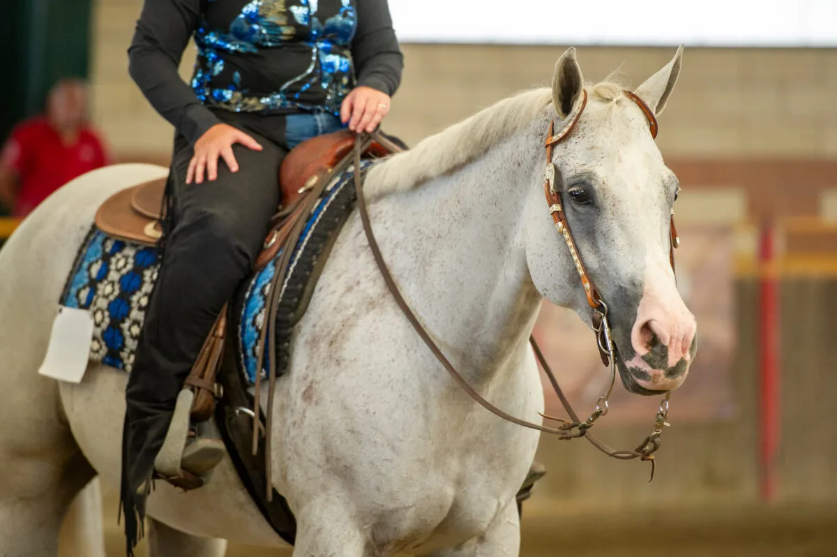 How Long Should You Ride Your Horse?
