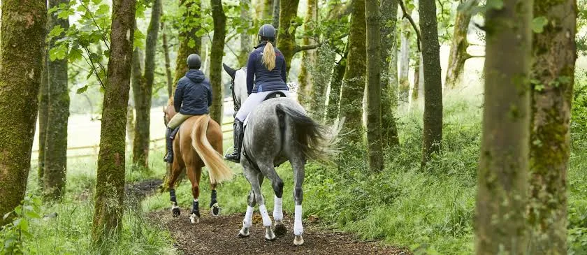 How Long Should You Ride Your Horse?