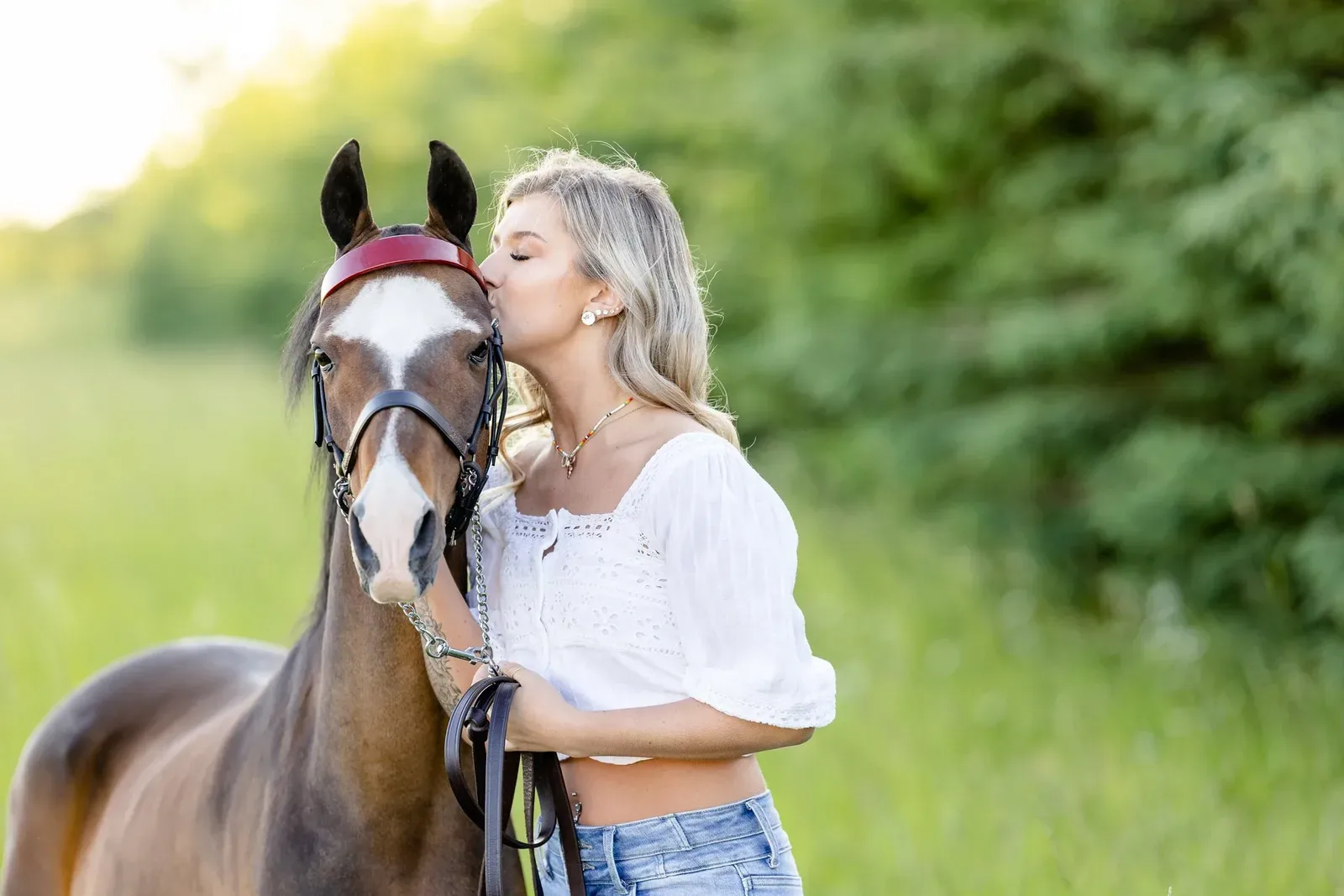 How Often Should a Horse Poop? for More Consistent Horse Photography