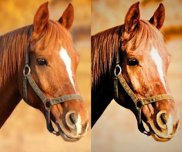 How to Avoid Noise in Your Images (Without Destroying the Details)