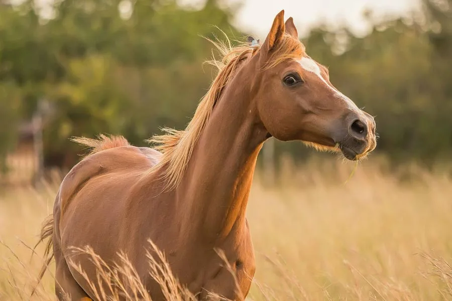How to Avoid Noise in Your Images (Without Destroying the Details)
