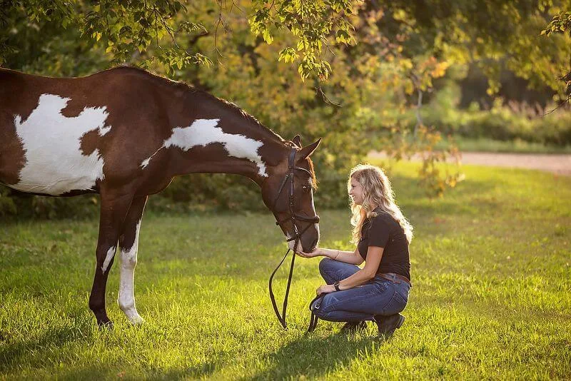 How to Choose Crop Ratios for Horse Photos Without Fighting the Subject Later