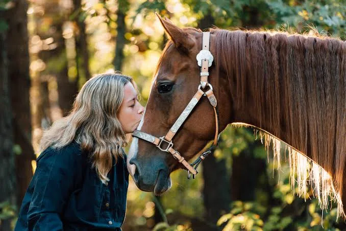 How to Choose Crop Ratios for Horse Photos Without Fighting the Subject Later