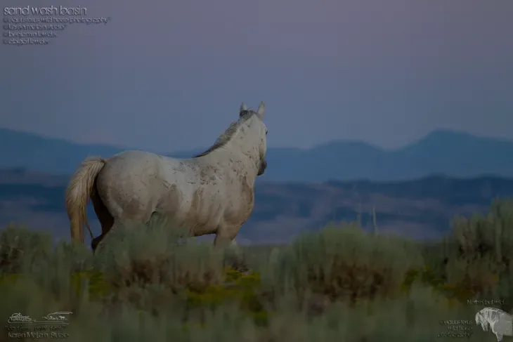 How to Fix Bright Skies in Horse Photos Without Making the Edit Look Fake