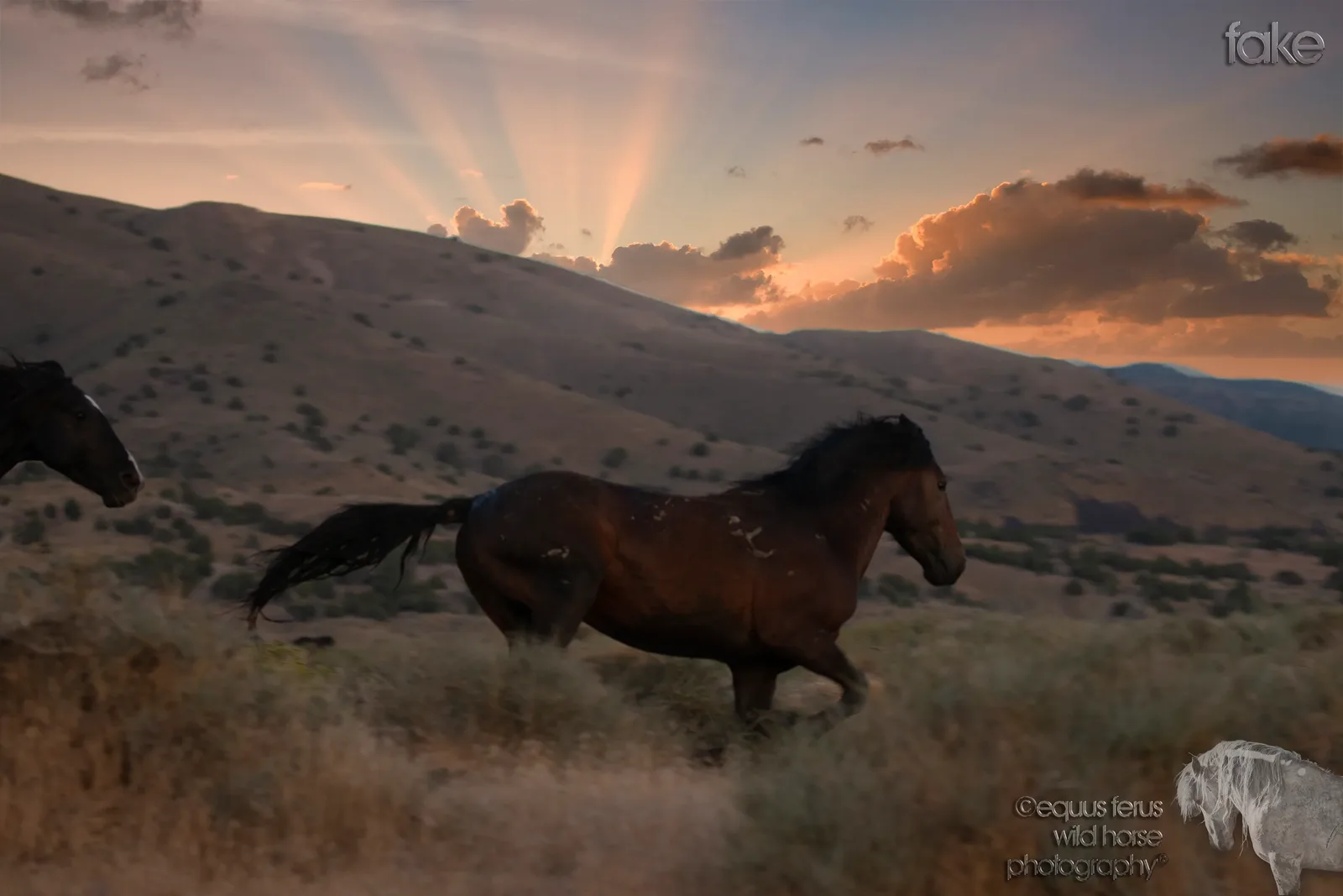 How to Fix Bright Skies in Horse Photos Without Making the Edit Look Fake