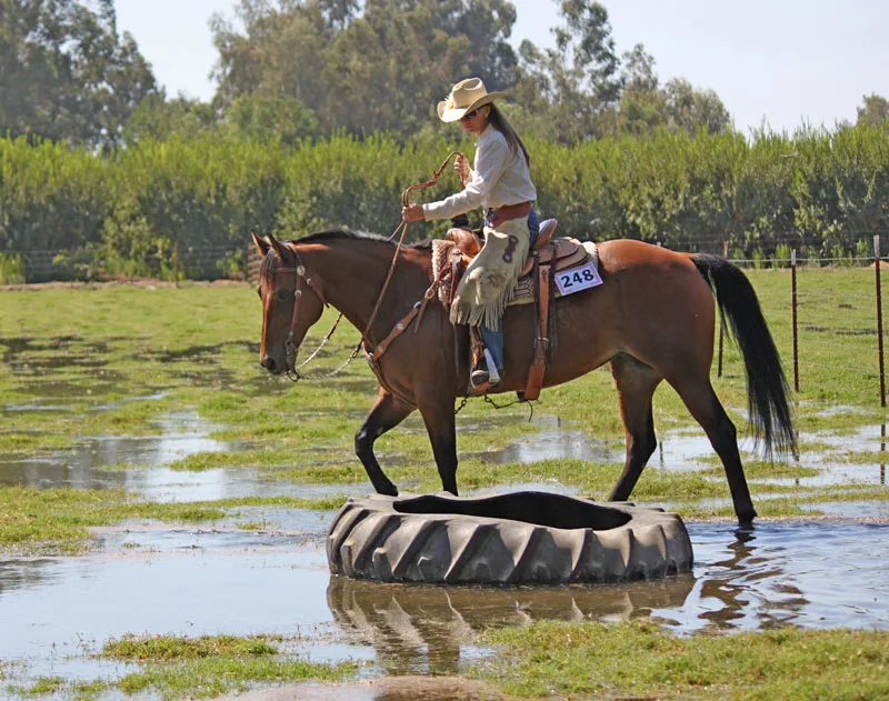 How to Photograph Ranch Pole Work So the Line and Footwork Stay Readable