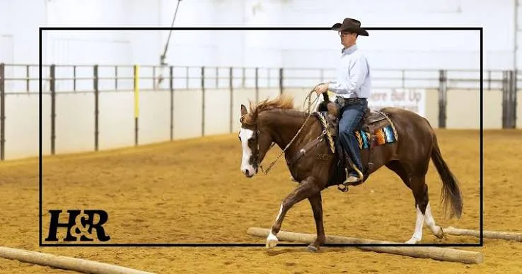 How to Photograph Ranch Pole Work So the Line and Footwork Stay Readable