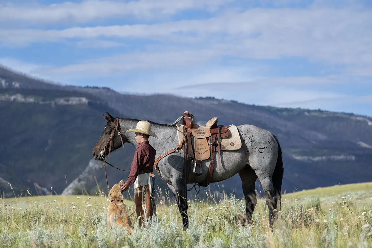 How to Recover Blown Out Skies in Equine Photography