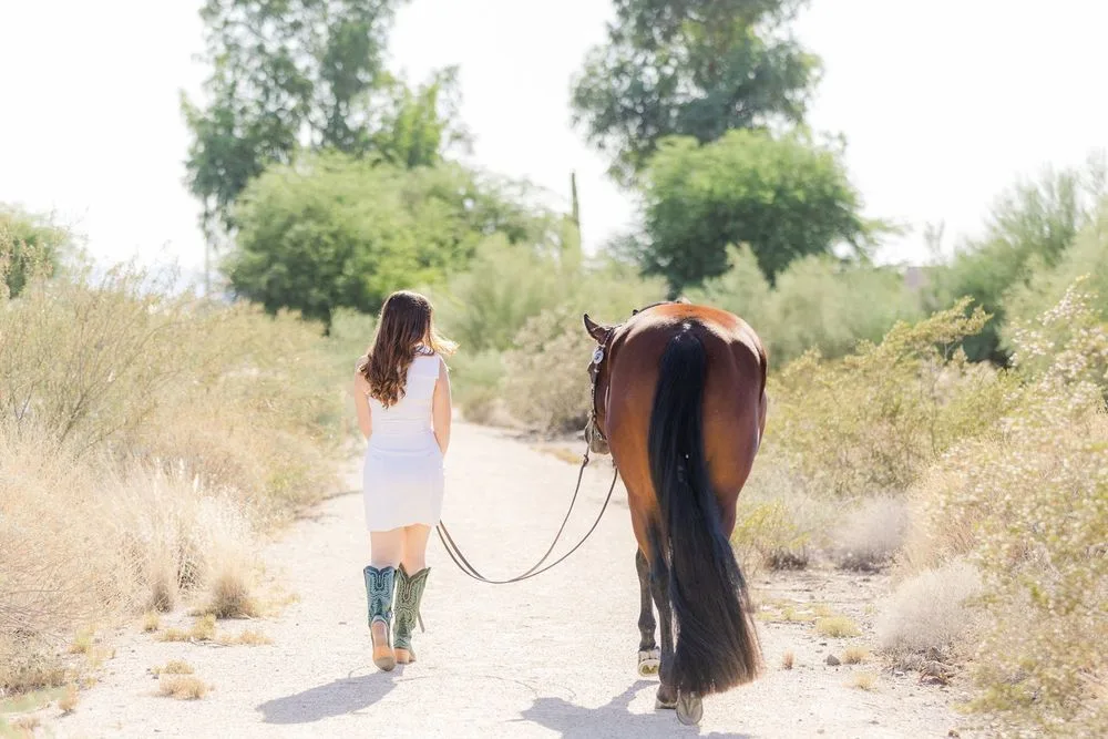 How to Recover Blown Out Skies in Equine Photography