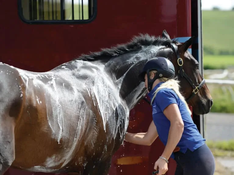 How to Safely and Confidently Master the Gallop