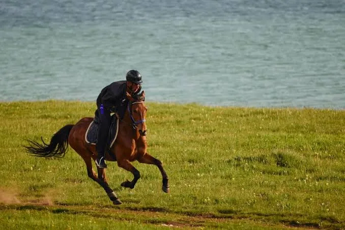How to Safely and Confidently Master the Gallop