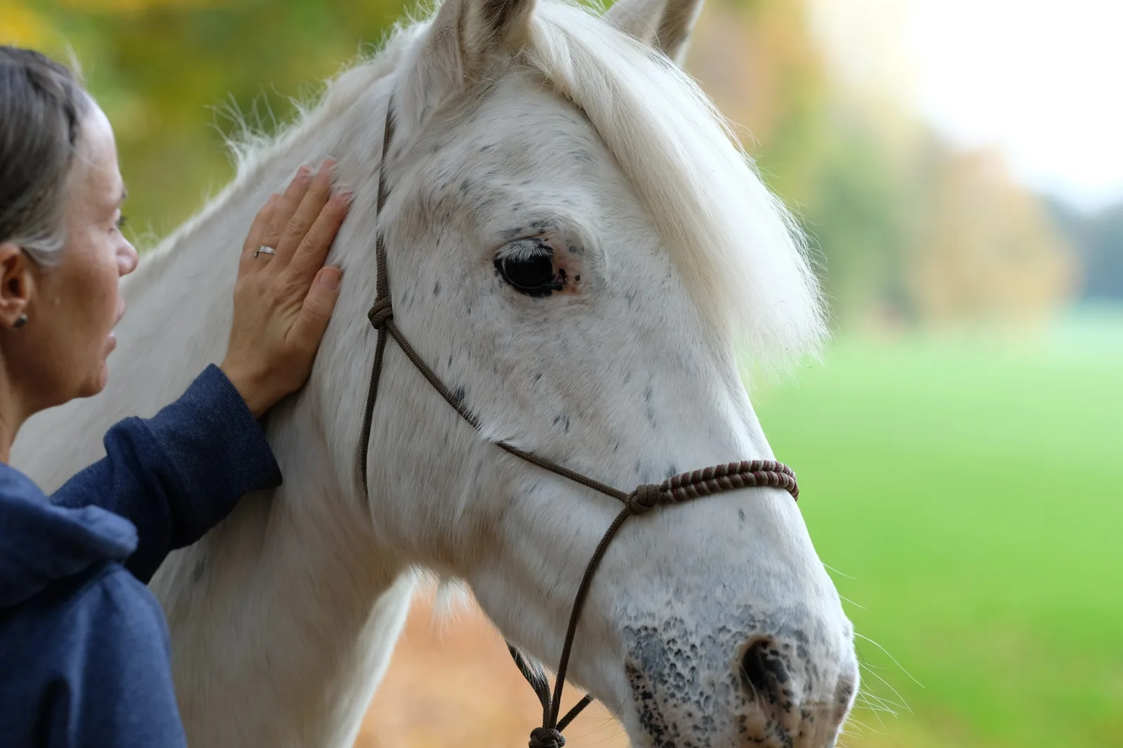 How to Trust Your Eye Before You Overedit a Good Horse Photo