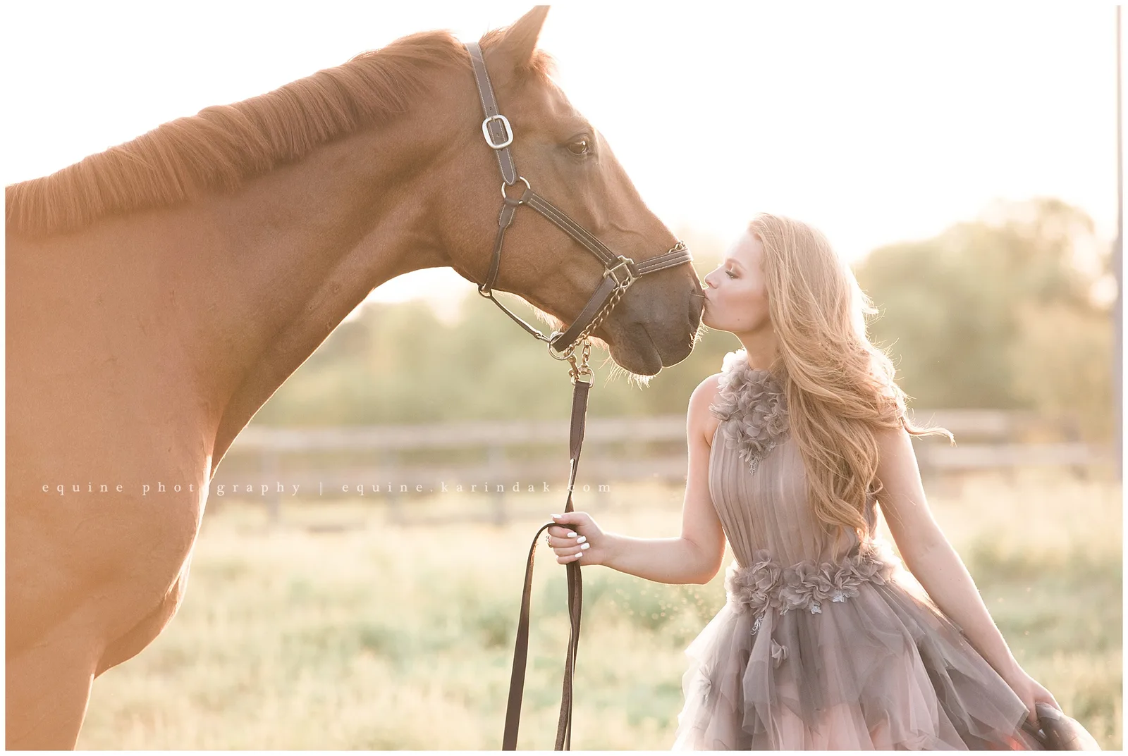 How to Use Focal Length for Horse Photos With Big Skies