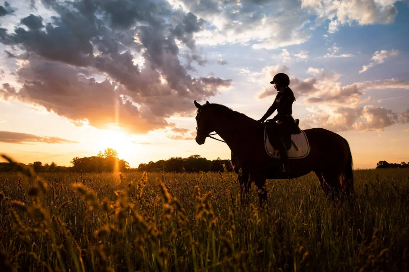 How to Use Focal Length for Horse Photos With Big Skies