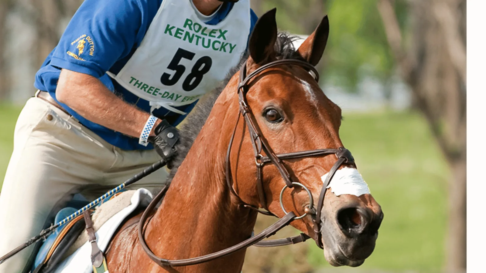 Is Your Sporthorse's Respiratory System Keeping Up? A Guide to Choosing the Right Support