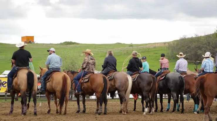Protect Your Horse From New World Screwworm: Field Notes for Cleaner Horse Photos