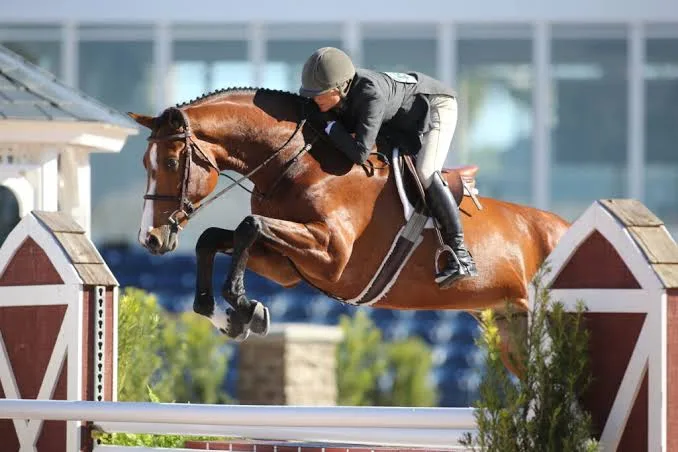 Take Your Time — 8 Tips for Starting Young Horses Over Fences
