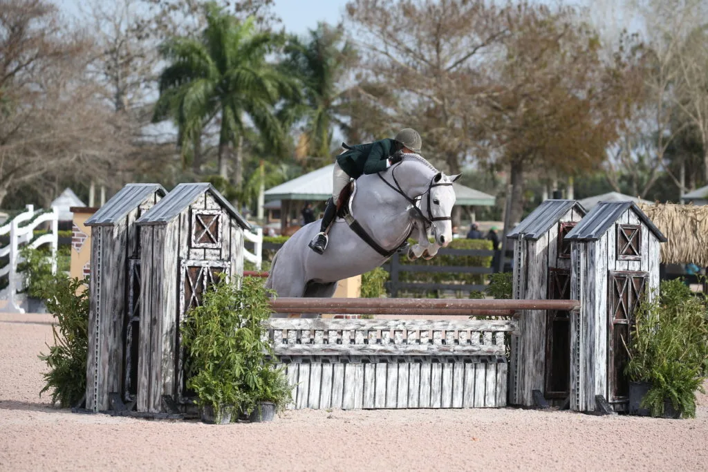 Take Your Time — 8 Tips for Starting Young Horses Over Fences