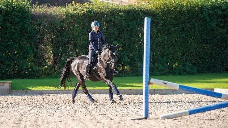 Take Your Time — 8 Tips for Starting Young Horses Over Fences