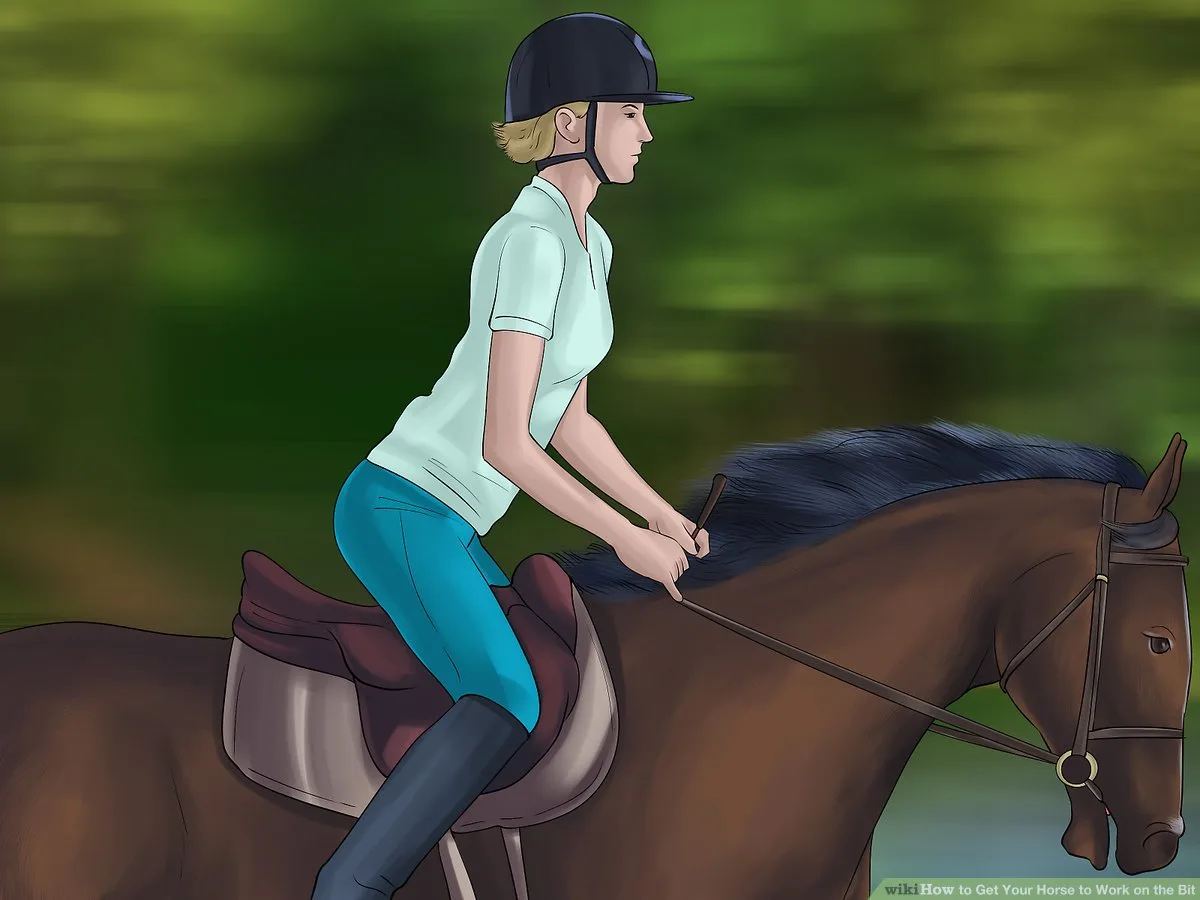 The Three-Second Solution — Putting Your Horse On the Bit