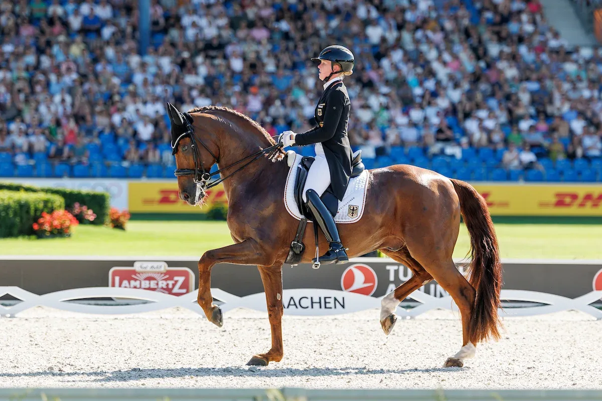 US Wins World Championship Bronze, Great Britain Gold