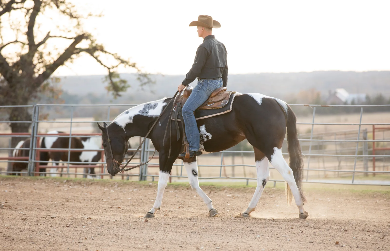 Why Stiffness Wrecks Your Ride — 4 Exercises to Loosen Up