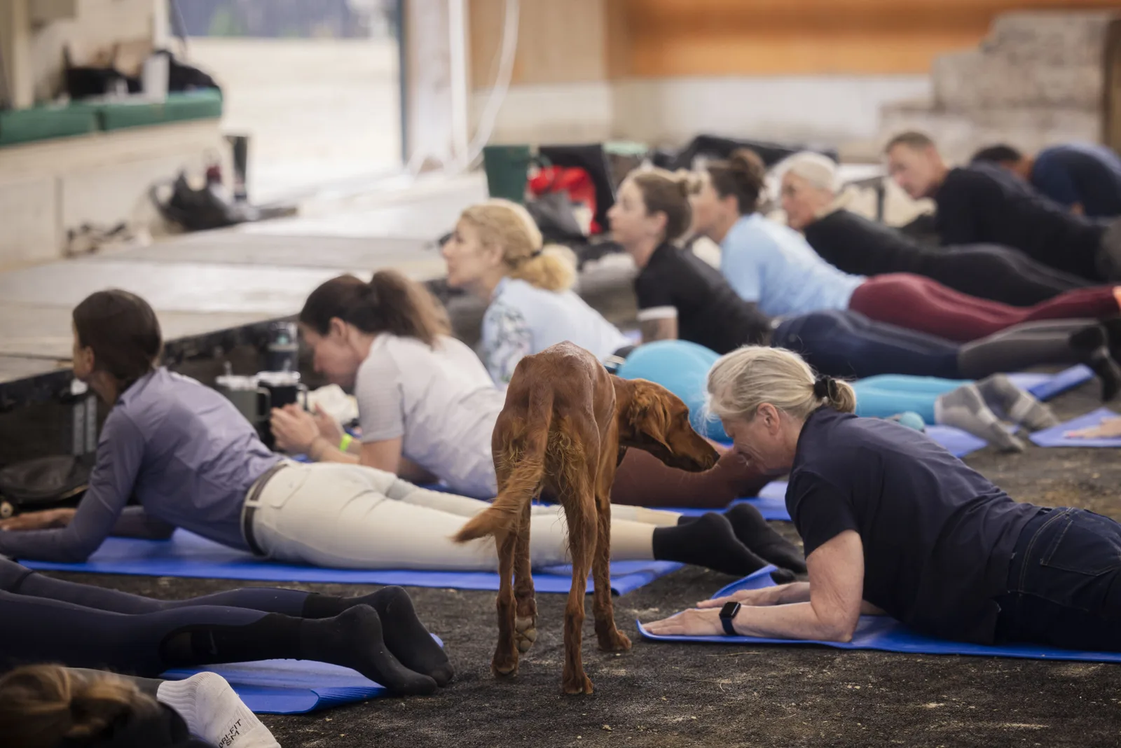 Yoga With Biz and Boyd — Poses and Flows to Help You Ride Better